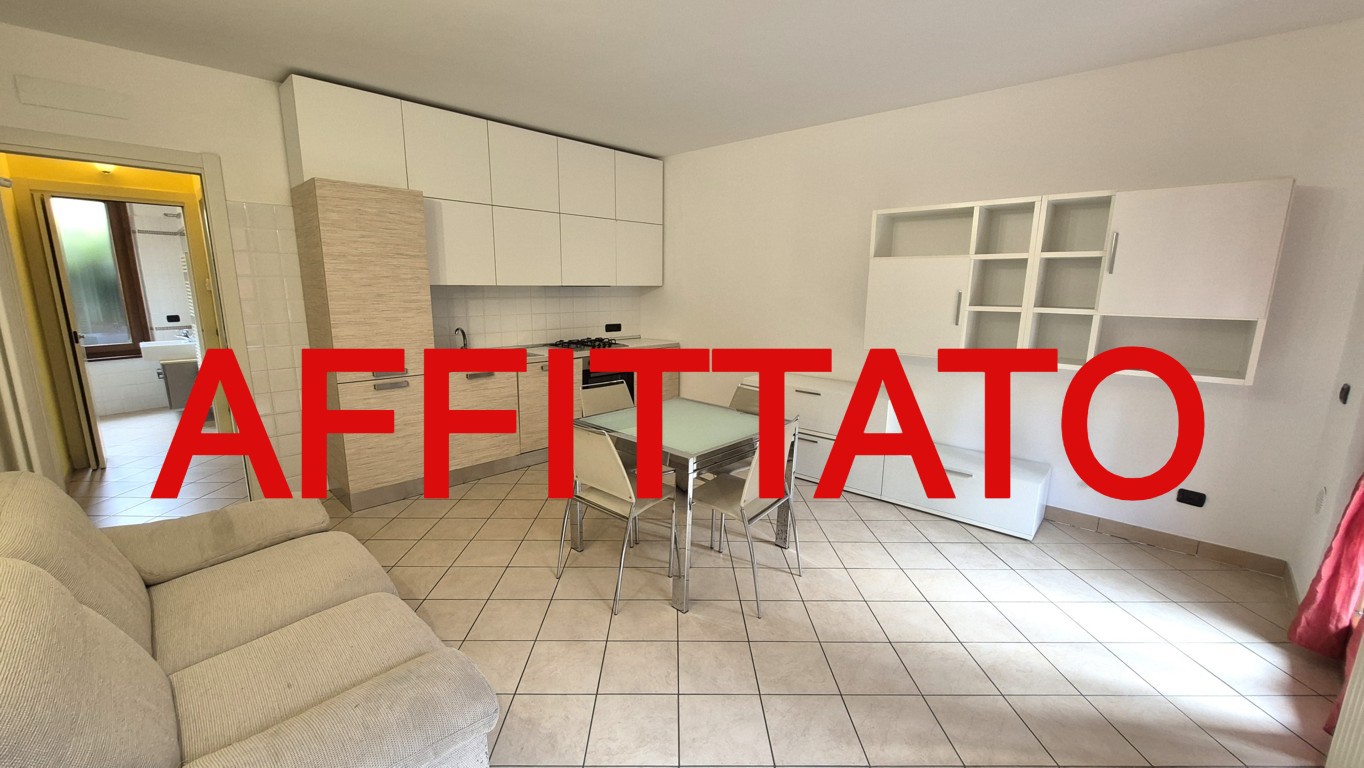 Appartamento affitto 4+4 Arese (MI)